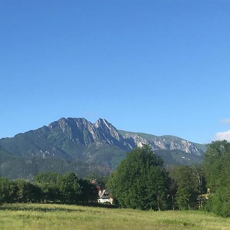 Camping Zakopane Willa Skoczek Oferta Nie Dotyczy Noclegu W Pokoju ,W Namiocie Reczniki Woda Mineralna , Koldra Poduszki Lub Spiwory ภายนอก รูปภาพ
