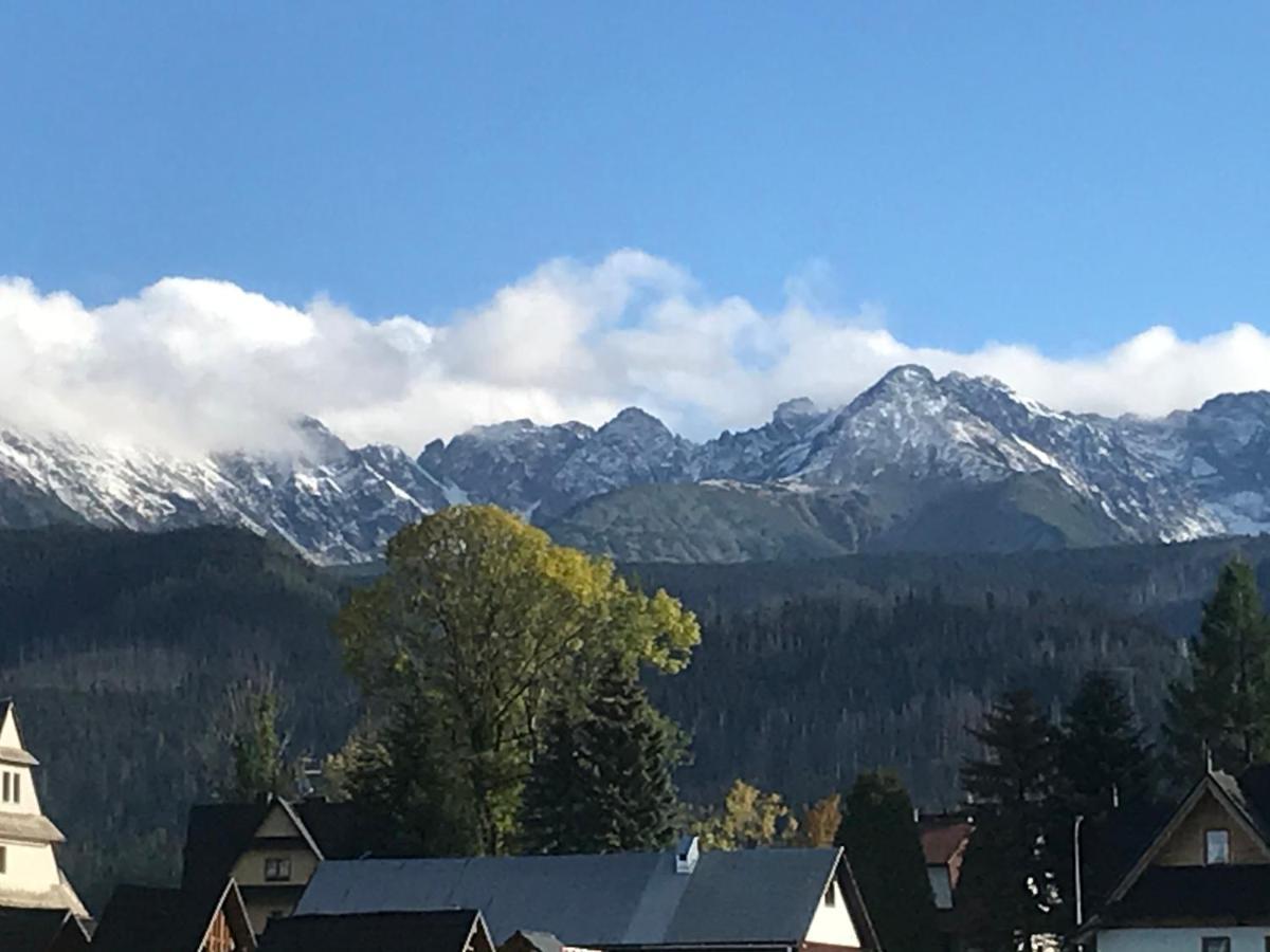 Camping Zakopane Willa Skoczek Oferta Nie Dotyczy Noclegu W Pokoju ,W Namiocie Reczniki Woda Mineralna , Koldra Poduszki Lub Spiwory ภายนอก รูปภาพ