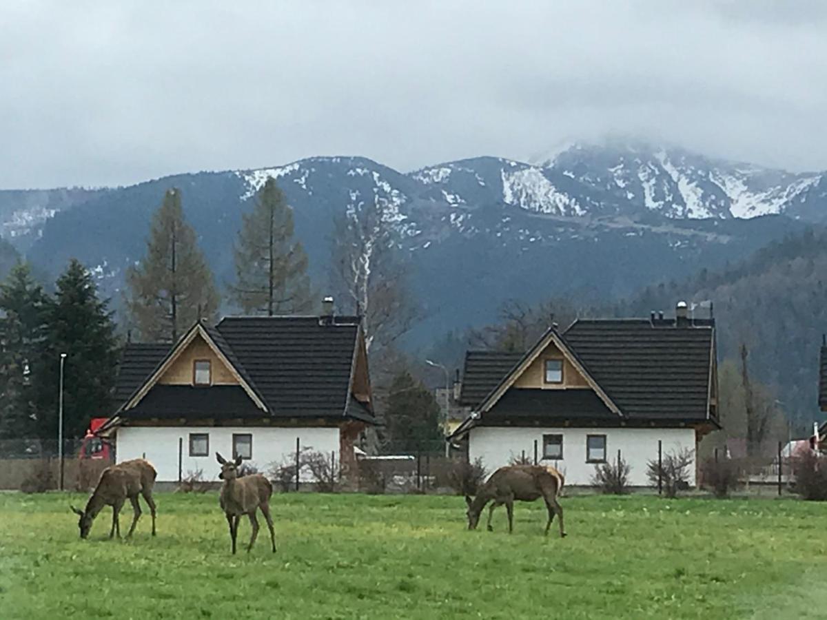 Camping Zakopane Willa Skoczek Oferta Nie Dotyczy Noclegu W Pokoju ,W Namiocie Reczniki Woda Mineralna , Koldra Poduszki Lub Spiwory ภายนอก รูปภาพ