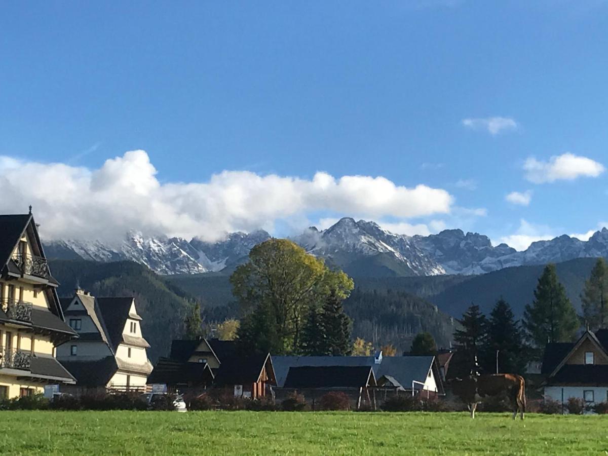 Camping Zakopane Willa Skoczek Oferta Nie Dotyczy Noclegu W Pokoju ,W Namiocie Reczniki Woda Mineralna , Koldra Poduszki Lub Spiwory ภายนอก รูปภาพ
