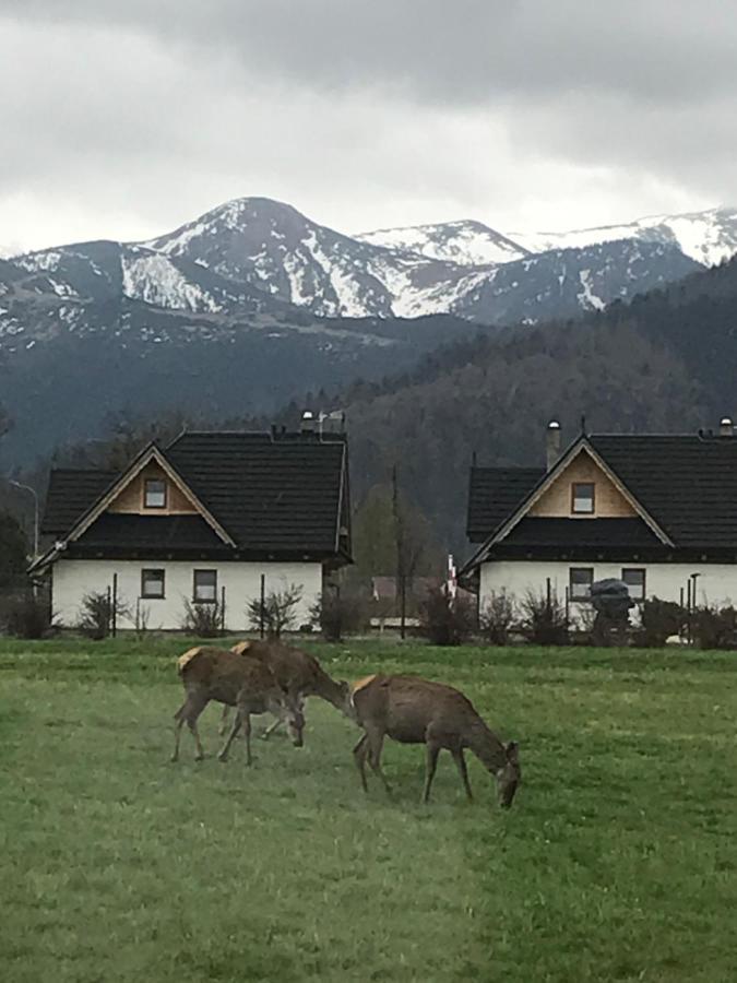 Camping Zakopane Willa Skoczek Oferta Nie Dotyczy Noclegu W Pokoju ,W Namiocie Reczniki Woda Mineralna , Koldra Poduszki Lub Spiwory ภายนอก รูปภาพ