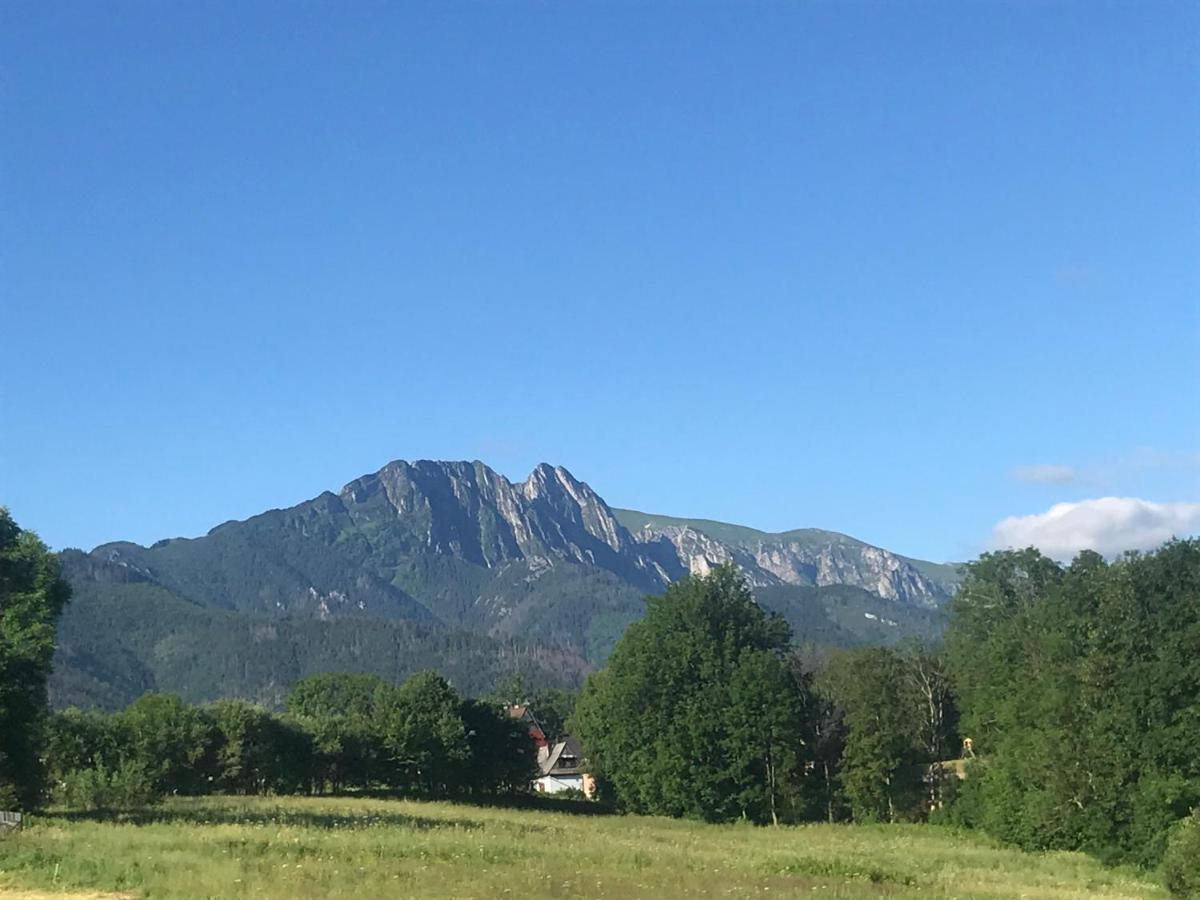 Camping Zakopane Willa Skoczek Oferta Nie Dotyczy Noclegu W Pokoju ,W Namiocie Reczniki Woda Mineralna , Koldra Poduszki Lub Spiwory ภายนอก รูปภาพ