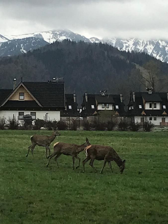 Camping Zakopane Willa Skoczek Oferta Nie Dotyczy Noclegu W Pokoju ,W Namiocie Reczniki Woda Mineralna , Koldra Poduszki Lub Spiwory ภายนอก รูปภาพ